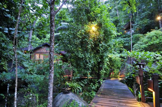 Japamala Resort à Île Tioman:  Garden