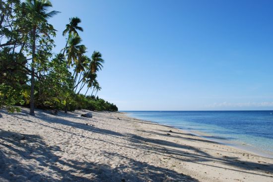 Coco Grove Beach Resort in Siquijor:  Siquijor Coco Grove beach 