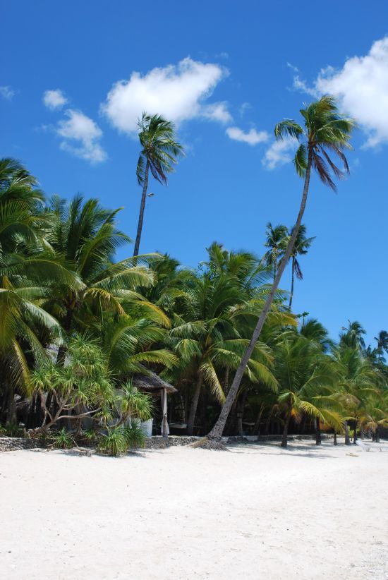 Coco Grove Beach Resort in Siquijor: beach: 