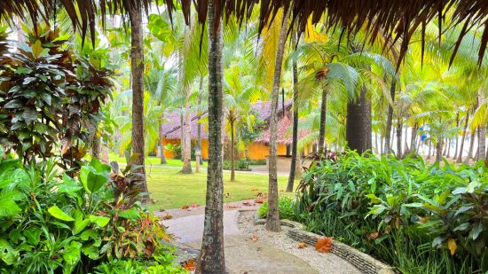Coco Grove Beach Resort in Siquijor: Superior | View