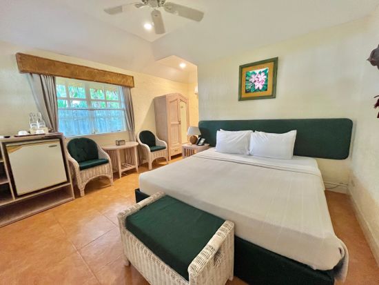 Coco Grove Beach Resort in Siquijor:  Deluxe | Sampaguita