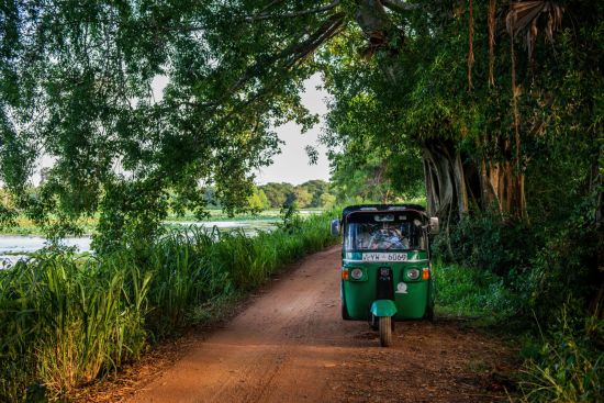 Uga Ulagalla à Anuradhapura:  Excursion by Tuktuk