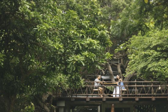 Uga Jungle Beach in Trincomalee:  facilities: Tree Top Deck