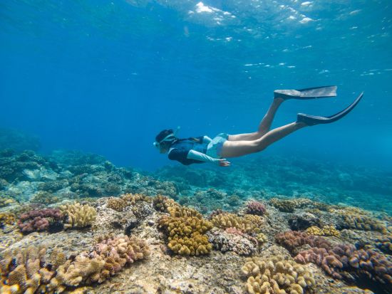 Uga Jungle Beach in Trincomalee:  Snorkeling