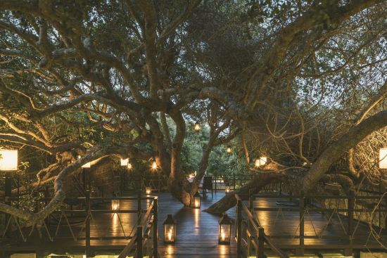 Uga Jungle Beach in Trincomalee:  f&b: Treetop Dining