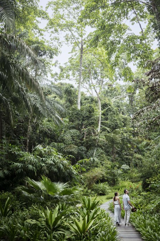 The Datai Langkawi:  Butterfly Garden