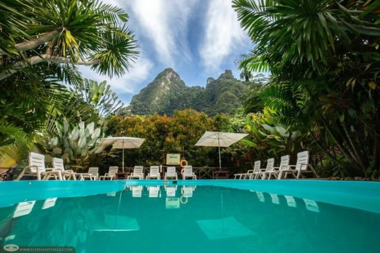 Elephant Hills - 3 Tage ab Phuket: The Elephant Camp