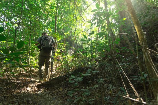 Elephant Hills & The Lake Camp ab Phuket: Elephant Hills Jungle Trek