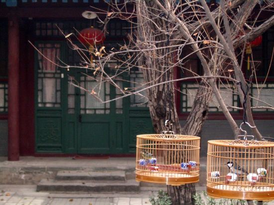 Découverte active de la Chine de Pékin: Beijing Hutong