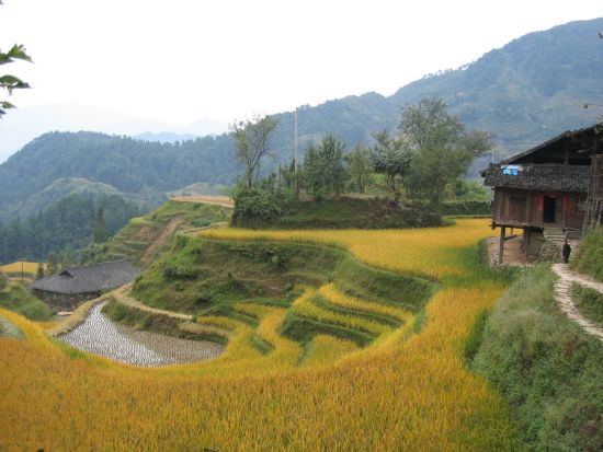 Rizières en terrasses & paysages montagneux de Guilin: Longsheng: small village