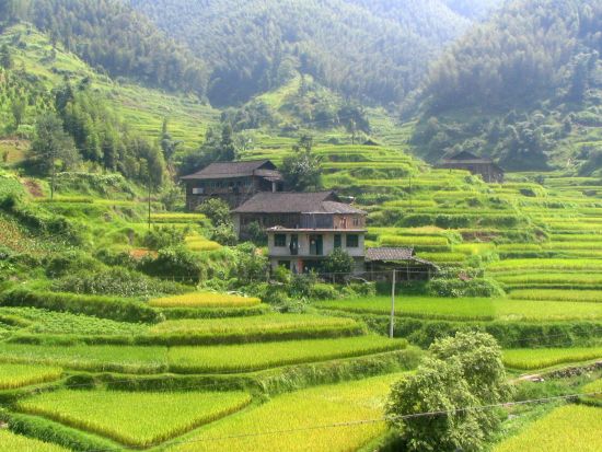 Rizières en terrasses & paysages montagneux de Guilin: Longsheng: rice terraces