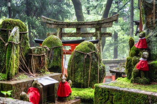 Kontrastreiches Japan ab Tokio: Small shinto place of worship with Torii Gates
