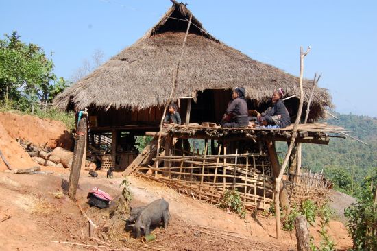 Tribus montagnardes de Kyaing Tong: Kyaing Tong: typical hilltribe hut