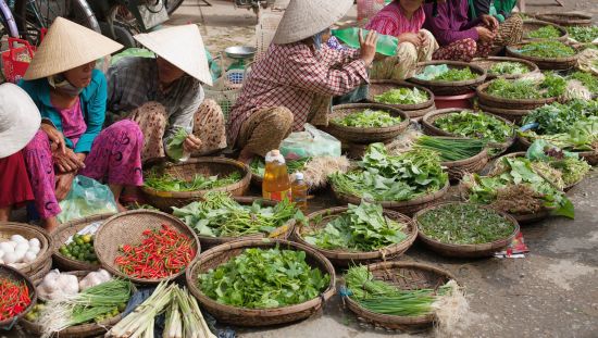 Découverte active du centre du Vietnam de Hué: Hoi An: Outdoor markets in the street