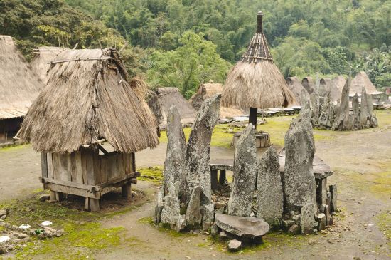 Flores - Traditionen, Riten und Vulkane ab Ende: Flores Bajawa Bena village