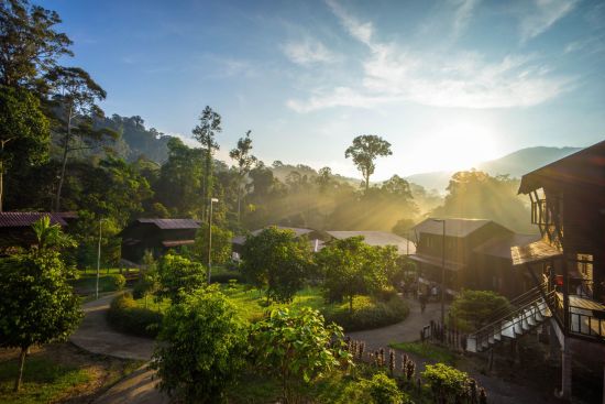Authentisches Malaysia ab Kuala Lumpur: Taman Negara in the morning