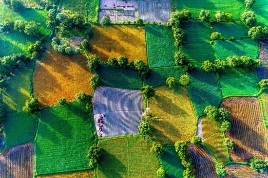 Das Mekong Delta aktiv erleben ab Saigon: Mekong Delta - Aerial View of Rice Fields
