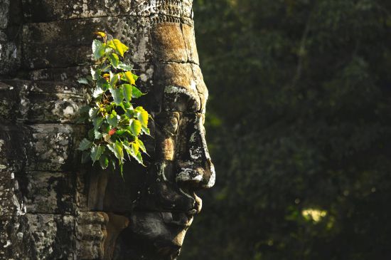 Angkor mystique de Siem Reap: Siem Reap Bayon Temple