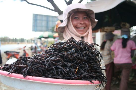 Überland von Phnom Penh nach Angkor: Skun - spiders are a local delicacy