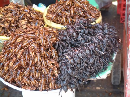 Überland von Phnom Penh nach Angkor: Skun - grilled crickets and spiders 