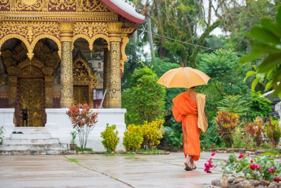 Luang Prabang aktiv erleben: Luang Prabang: Monk with an umbrella on a city street