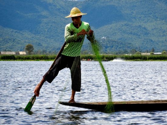 Le pays doré de Yangon: Inle Lake fisherman