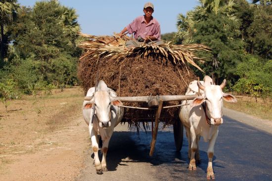 Myanmar aktiv erleben ab Yangon: Bagan: rural areas