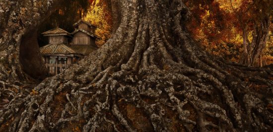 Myanmar aktiv erleben ab Yangon: Kalaw tree roots