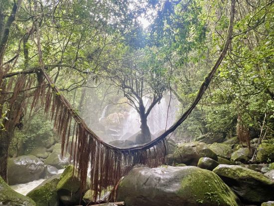 Sarawak – la nature dans toute sa splendeur de Kuching: location: Trekking to the Waterfall near Kampong Nyegol 