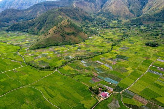 Sumatra Überlandreise ab Medan: Sumatra | Rice field in Sianjur Mulamula Samosir Lake Toba