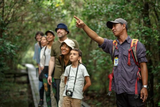Dschungelabenteuer in Kalimantan, 4 Tage ab Palangkaraya: Guide with group