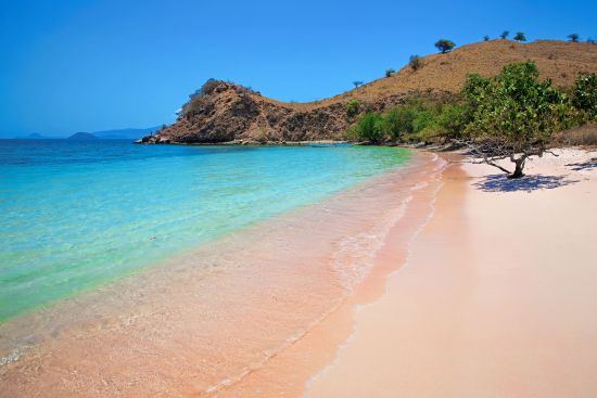 Komodo - Inseln der Warane ab Labuan Bajo: Komodo National Park | Pink Beach