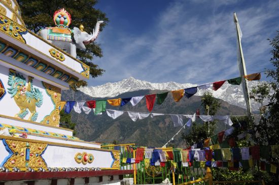Au pied de l'Himalaya de Delhi: Dharamsala McLeod Ganj: Kalaczakra temple