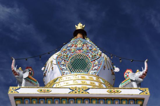Magie des temples et idylle des montagnes de Delhi: Dharamsala McLeod Ganj: Kalaczakra temple