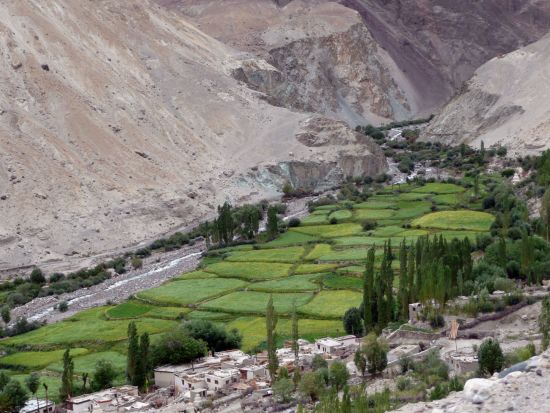 Les montagnes spectaculaires de Ladakh de Leh: Ladakh: Nubra Valley