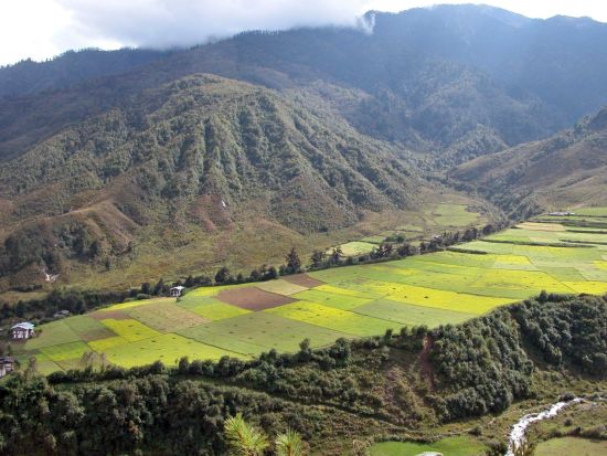 Im Land des Donnerdrachens ab Paro: Countryside