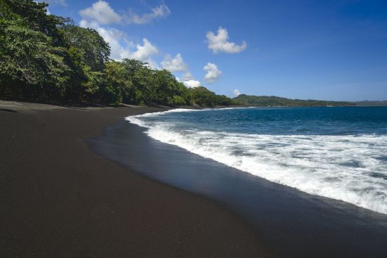 Au pays des Minahasa de Manado: Sulawesi Tangkoko National Park
