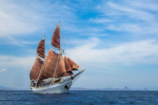 Kreuzfahrt im Inselparadies Raja Ampat ab Sorong: Katharina Middle