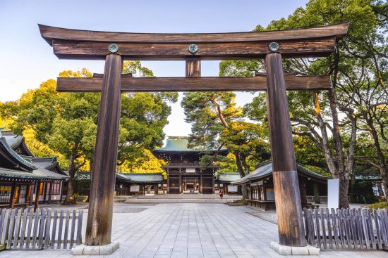 Höhepunkte Japans ab Tokio: Entrance of Meiji Shrine