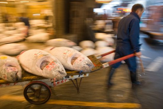 Japon compact de Tokyo: Tsukiji Fish market in Tokyo