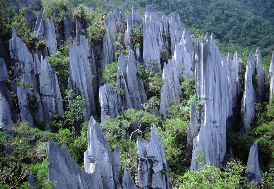 Höhepunkte Borneos ab Kuching: Mulu: Stone Formations
