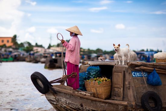Grenzenlose Faszination bis Phu Quoc ab Siem Reap: activities: Cai Rang market 2