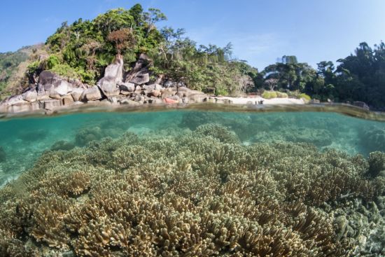 Segeltörn im paradiesischen Mergui Archipel ab Kawthaung: Mergui Archipelago