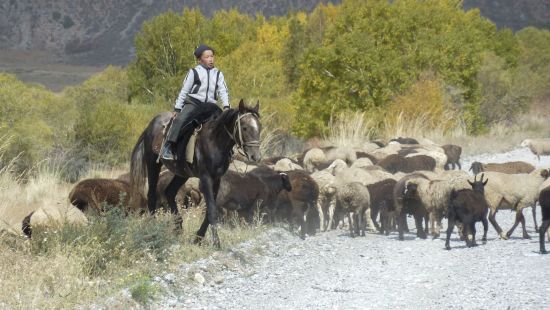 Sur les traces de Marco Polo le long de la route de la Soie de Pékin: Naryn