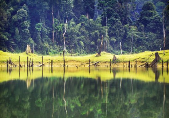 Höhepunkte Malaysias mit Option "Belum Rainforest" ab Kuala Lumpur: Malaysia Belum Rainforest