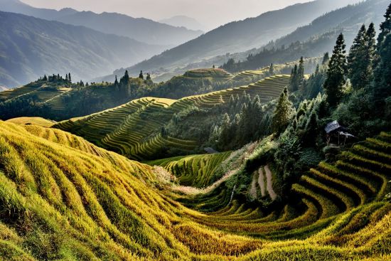 Féerie du sud de la Chine de Shanghai: Longsheng