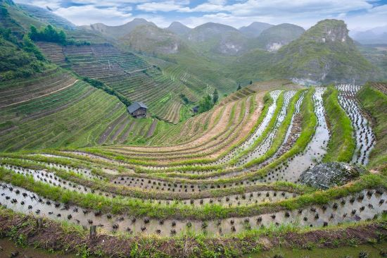 Féerie du sud de la Chine de Shanghai: Longsheng rice terraces and karst mountains