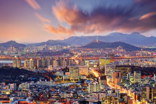 Circuit en groupe «La Corée du Sud authentique» de Séoul: Seoul Cityview