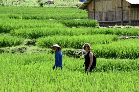Abenteuer Sapa «Hiking Package» ab Hanoi: Sapa: Hiking in nature
