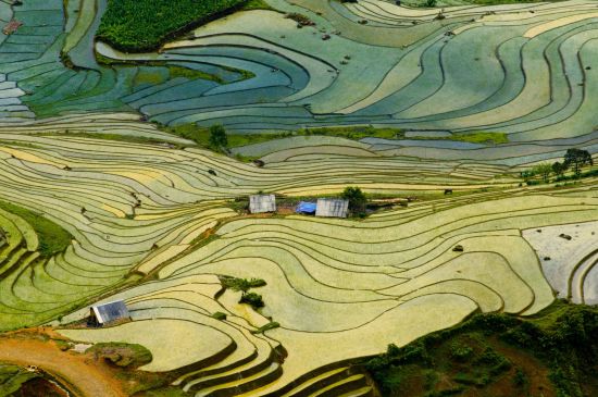 Abenteuer Sapa «Hiking & Biking Package» ab Hanoi: Sapa: Beautiful terraced rice field in Lao cai province